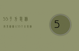 55平方装修效果图图片（55平米装修多少钱 55平方房子室内装修设计）