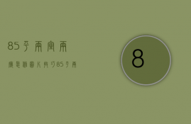 85平两室两厅装修图片技巧  85平两室两厅事项