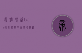 帝智冰箱bcd是什么意思  帝度冰箱显示dr是什么意思