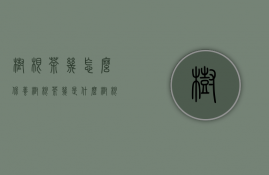 树根茶几怎么保养（树根茶几是什么,树根茶几保养方法介绍）