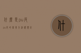 什么是pu皮?pu皮的保养方法视频（什么是pu皮？pu皮的保养方法）