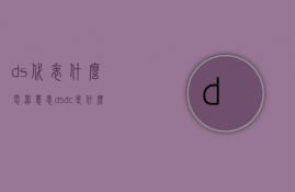 ds代表什么电器意思  ds dc是什么意思啊