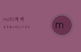 mu30砖哪里有卖  mu30片石是什么意思