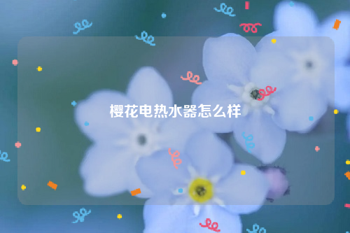 樱花电热水器怎么样