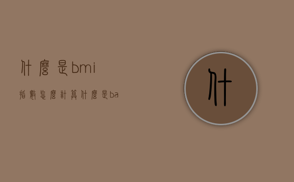 什么是bmi指数怎么计算（什么是bat文件）