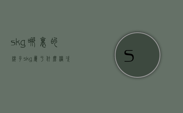 skg哪里的牌子  skg属于什么档次