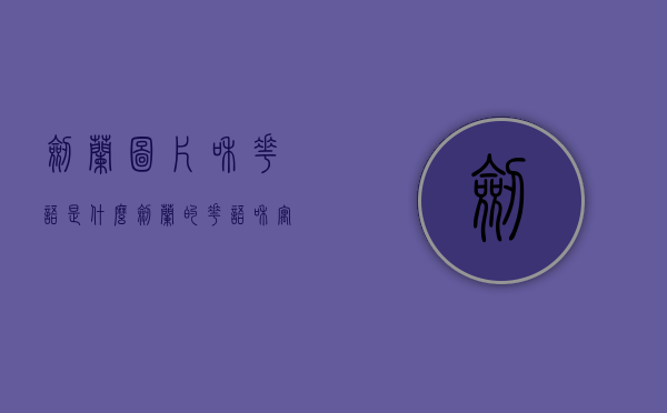 剑兰图片和花语是什么（剑兰的花语和寓意）