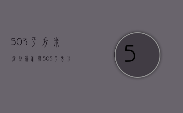 50.3平方米套型为什么  503平方米套型为什么这么大