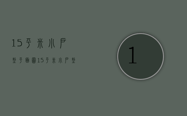 15平米小户型平面图（15平米小户型装修设计技巧  小户型装修设计要点）