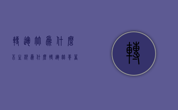 转运竹为什么不生根  为什么转运竹养着养着就死了