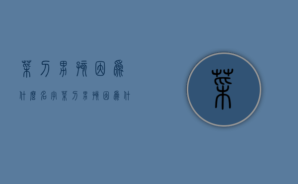 菜刀男孩因为什么名字  菜刀男孩因为什么名字出名