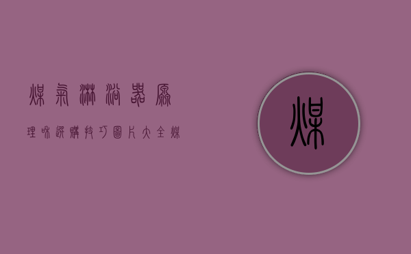 煤气淋浴器原理和选购技巧图片大全（煤气淋浴器原理和选购技巧）