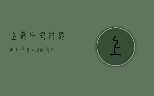 上海中建材总部在哪里  soul总部在上海哪里