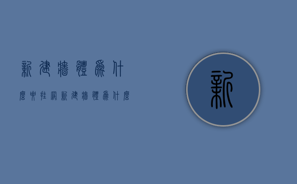 新建墙体为什么要挂网  新建墙体为什么要挂钢网