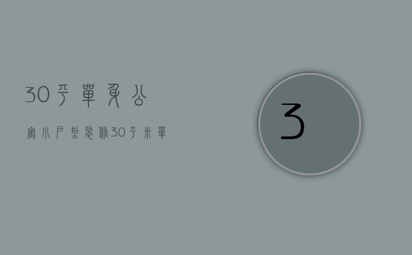 30平单身公寓小户型装修（30平米单身公寓装修攻略 家具选购）