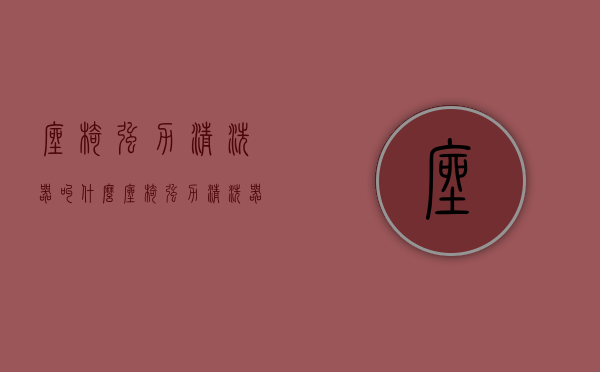 座椅强力清洗器叫什么  座椅强力清洗器叫什么名字