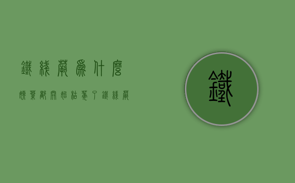 铁线蕨为什么嫩叶都开始枯萎了  铁线蕨为什么嫩叶都开始枯萎了呢