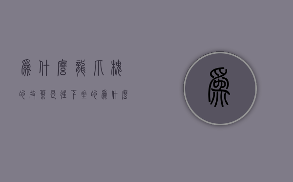 为什么龙爪槐的枝叶是往下垂的  为什么龙爪槐的枝叶是往下垂的呢