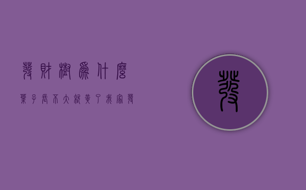 发财树为什么叶子长不大就黄了  我家发财树叶子长的不挺实原因是什么