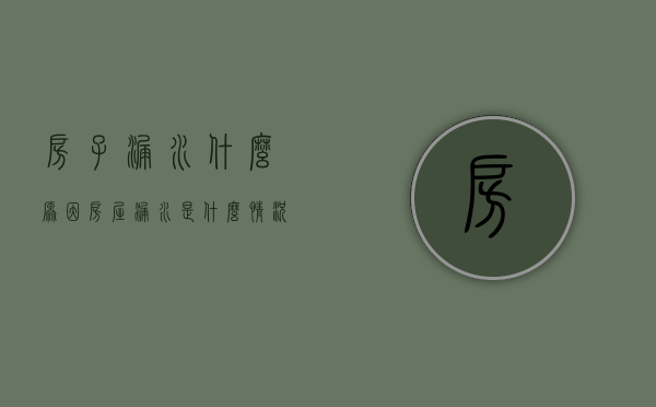 房子漏水什么原因（房屋漏水是什么情况）