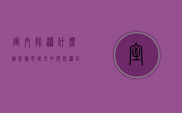 室内除湿什么办法最好（室内如何除湿,四种除湿方法,随意选择不嫌麻烦！）