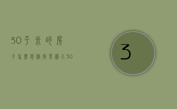 30平米的房子怎么装修效果图片（30平米的房子怎么装修效果图大全）