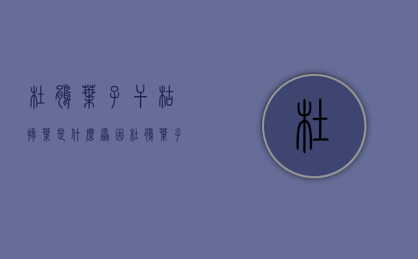 杜鹃叶子干枯掉叶是什么原因  杜鹃叶子干枯掉叶是什么原因引起的