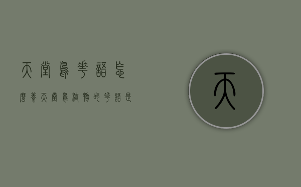 天堂鸟花语怎么养（天堂鸟植物的花语是什么）