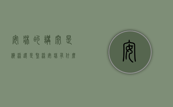 安床的讲究是横梁还是竖梁（安床有什么讲究？搬家和安装床入住的风水讲究）