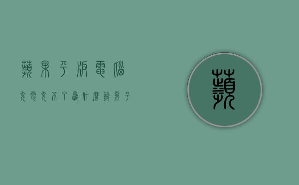 苹果平板电脑充电充不了为什么  苹果平板电脑充电充不了为什么呢