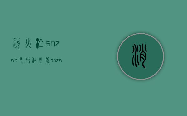 消火栓snz65是哪个型号  snz65消火栓型号字母含义