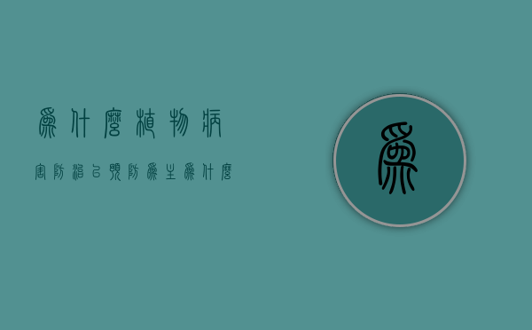 为什么植物病害防治以预防为主  为什么植物病害防治以预防为主的原因