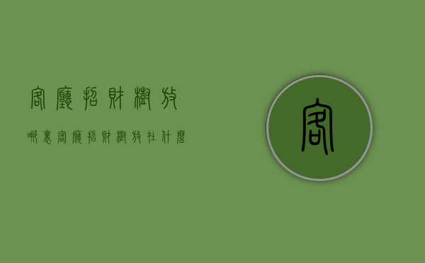 客厅招财树放哪里  客厅招财树放在什么地方合适