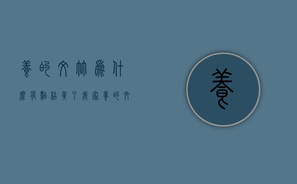 养的文竹为什么有点枯黄了  我养的文竹总是发枯黄怎么办?