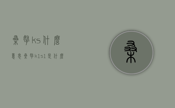 桑拿ks什么意思  桑拿k1s1是什么意思