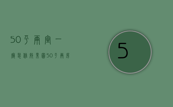 50平两室一厅装修效果图（50平两房一厅装修图片   50平两房一厅装修设计要点）