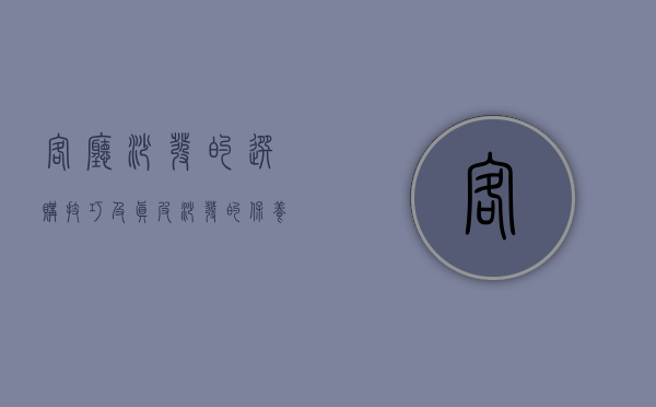 客厅沙发的选购技巧及真皮沙发的保养方法（客厅沙发的选购技巧及真皮沙发的保养）