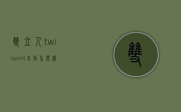 双立人twinpoint系列怎么样  