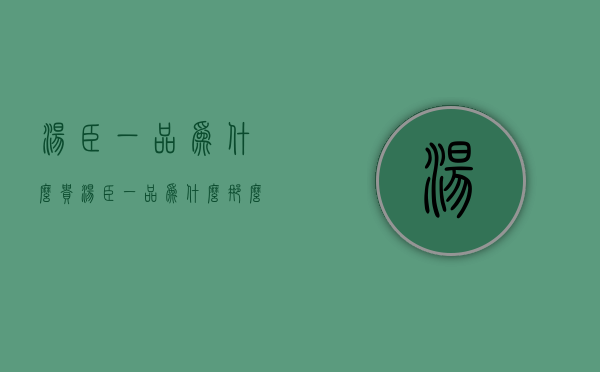 汤臣一品为什么贵  汤臣一品为什么那么贵 天涯