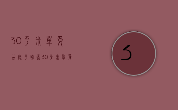 30平米单身公寓平面图（30平米单身公寓装修方法    公寓装修的重点）