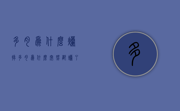 多肉为什么烂掉  多肉为什么突然都烂了死了