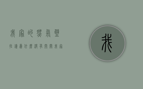 我家的燃气壁挂炉为什么没有开关  我家的燃气壁挂炉为什么没有开关按钮