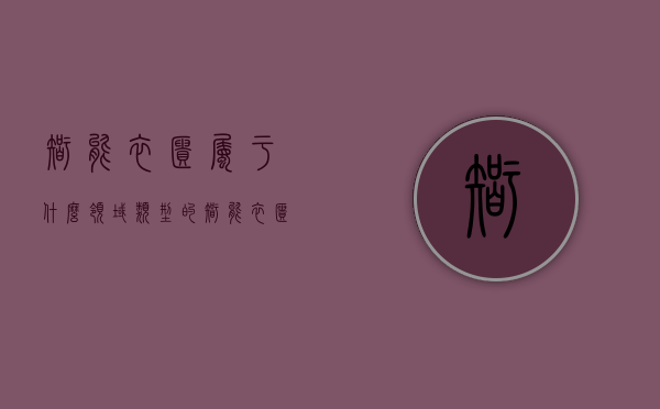 智能衣柜属于什么领域类型的（智能衣柜有什么特点？智能衣柜功能详解）