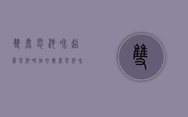 双鹿电池和超霸电池哪个好  双鹿电池和超霸电池哪个好用