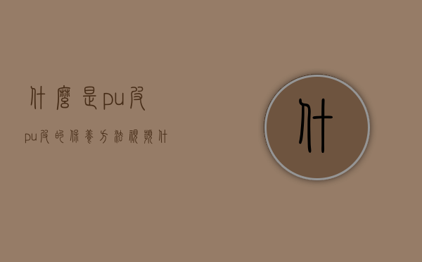 什么是pu皮?pu皮的保养方法视频（什么是pu皮？pu皮的保养方法）