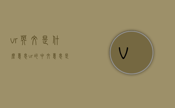 vr英文是什么意思（vr的中文意思是什么?）